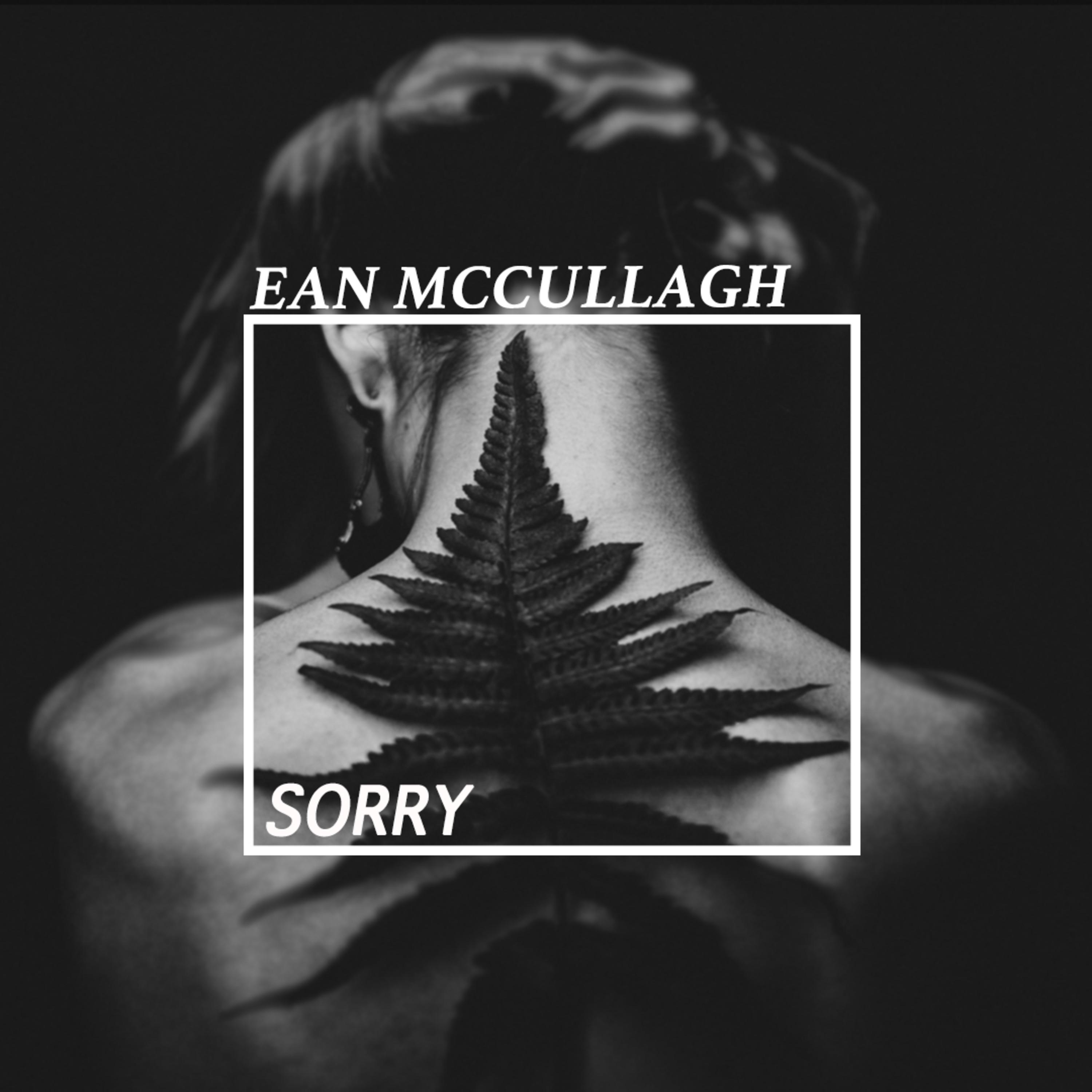 Sorry album cover